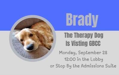 Visit with Brady the therapy dog